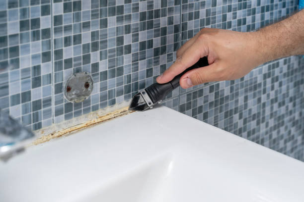 Best Home Mold Removal  in Breckenridge, CO